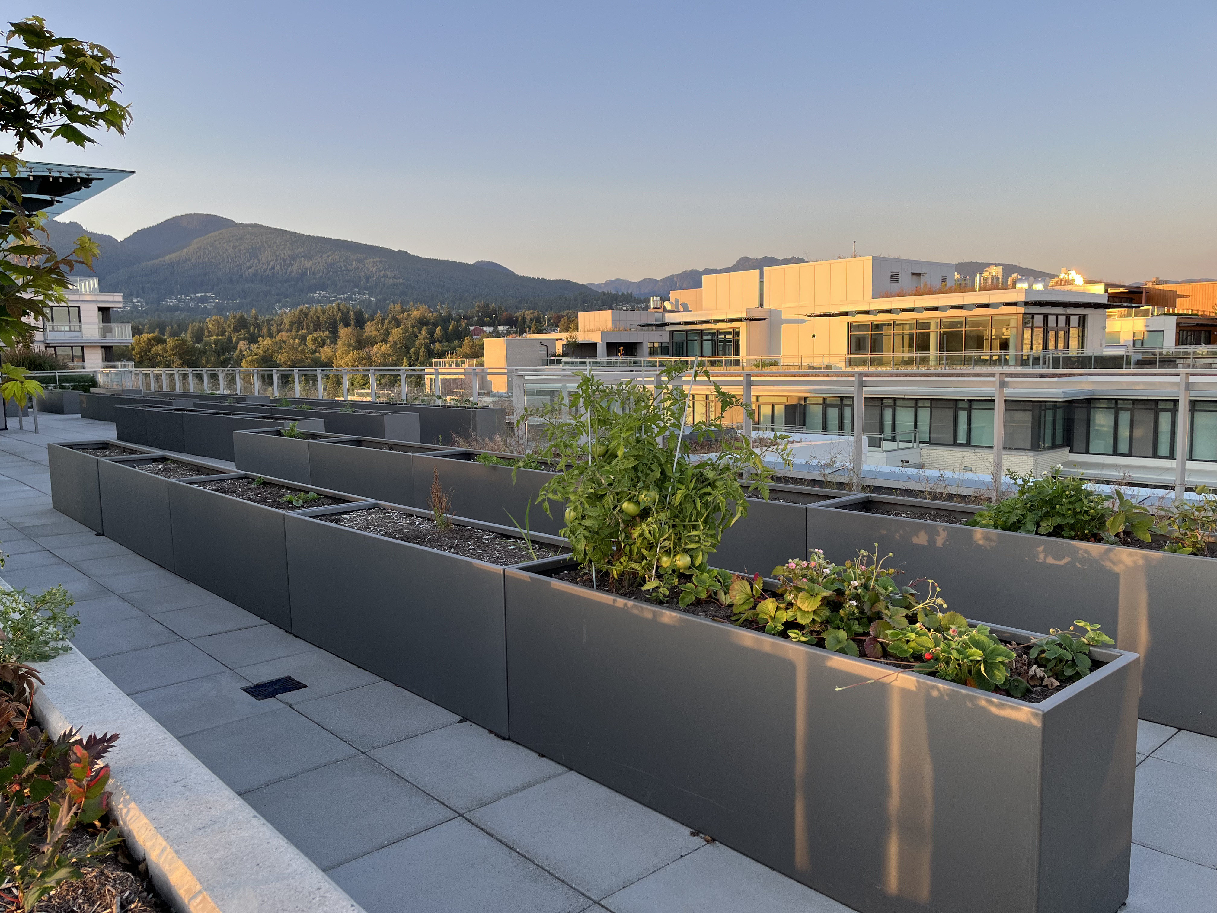 407-785 Harbour Way, North Vancouver