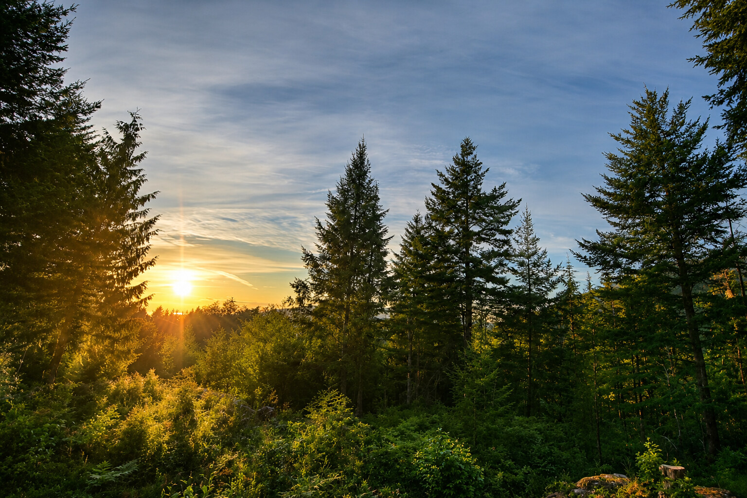 431 Sunset Road, Bowen Island